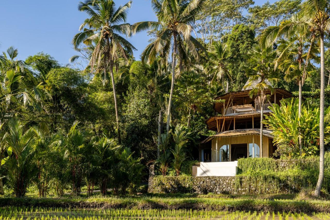 Eco Six Bali Hotel Tampaksiring Екстериор снимка